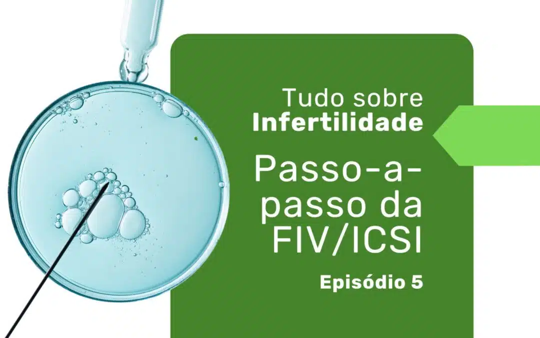 Fertilização In Vitro: o que é e como é feita?